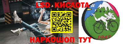 индика Краснознаменск