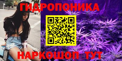 индика Краснознаменск