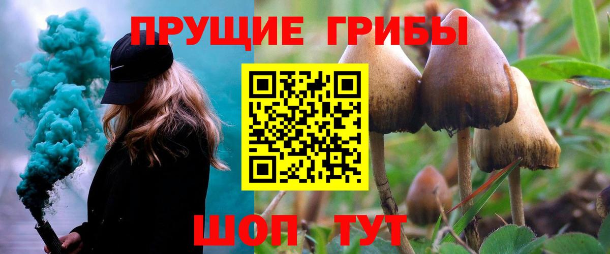 Клинцы  Псилоцибиновые грибы Psilocybe  Вход с VPN  Галлюциногенные грибы MAGIC MUSHROOMS 